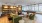 large room with natural lighting and couches